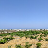 Island in Greece, 29000 sq.m.