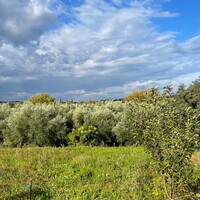 Другое в Греции, Ионические острова, Корфу, 166 кв.м.