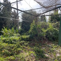 Другое в Греции, Ионические острова, Корфу, 268 кв.м.