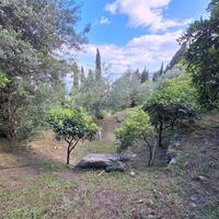 Other in Greece, Ionian Islands, Corfu, 150 sq.m.