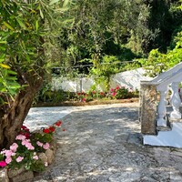 Other in Greece, Ionian Islands, Corfu, 209 sq.m.