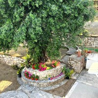 Other in Greece, Ionian Islands, Corfu, 209 sq.m.
