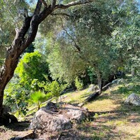Other in Greece, Ionian Islands, Corfu, 209 sq.m.