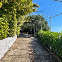 Other in Greece, Ionian Islands, Corfu, 209 sq.m.