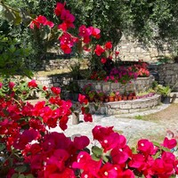 Other in Greece, Ionian Islands, Corfu, 209 sq.m.