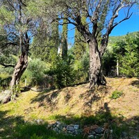 Other in Greece, Ionian Islands, Corfu, 209 sq.m.