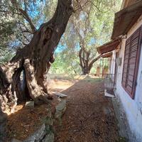 Other in Greece, Ionian Islands, Corfu, 87 sq.m.