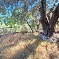 Other in Greece, Ionian Islands, Corfu, 87 sq.m.