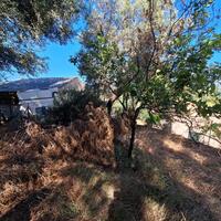 Other in Greece, Ionian Islands, Corfu, 87 sq.m.