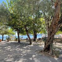 Other in Greece, Ionian Islands, Corfu, 300 sq.m.