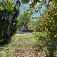 Other in Greece, Ionian Islands, Corfu, 300 sq.m.