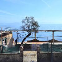 Other in Greece, Ionian Islands, Corfu, 217 sq.m.