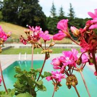 Villa in Turkey, Istanbul