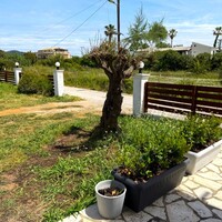 Aparthotel in Greece, Ionian Islands, Corfu, 480 sq.m.