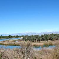 Island in Greece, Ionian Islands, Corfu, 16000 sq.m.
