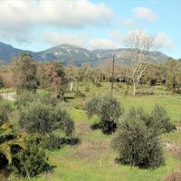 Island in Greece, Ionian Islands, Corfu, 6000 sq.m.