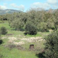 Island in Greece, Ionian Islands, Corfu, 6000 sq.m.