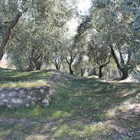 Остров в Греции, Ионические острова, Корфу, 4972 кв.м.