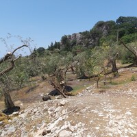 Остров в Греции, Ионические острова, Корфу, 4972 кв.м.