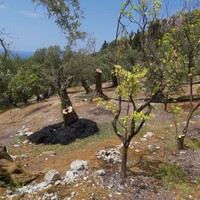 Остров в Греции, Ионические острова, Корфу, 4972 кв.м.