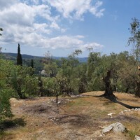 Остров в Греции, Ионические острова, Корфу, 4972 кв.м.