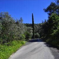 Остров в Греции, Ионические острова, Корфу, 4000 кв.м.