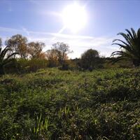 Island in Greece, Ionian Islands, Corfu, 7800 sq.m.