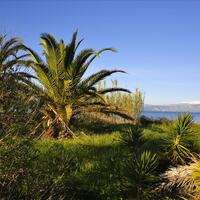 Island in Greece, Ionian Islands, Corfu, 7800 sq.m.