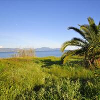 Island in Greece, Ionian Islands, Corfu, 7800 sq.m.