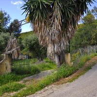 Island in Greece, Ionian Islands, Corfu, 4710 sq.m.