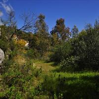 Island in Greece, Ionian Islands, Corfu, 4710 sq.m.