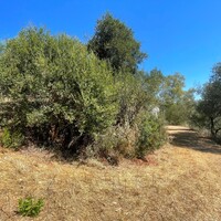 Island in Greece, Ionian Islands, Corfu, 4710 sq.m.