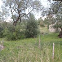 Island in Greece, Ionian Islands, Corfu, 4300 sq.m.