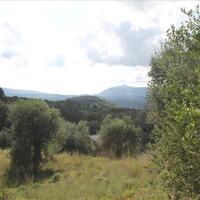 Island in Greece, Ionian Islands, Corfu, 4300 sq.m.