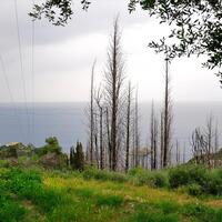Island in Greece, Ionian Islands, Corfu, 2500 sq.m.