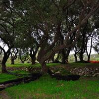 Island in Greece, Ionian Islands, Corfu, 2500 sq.m.