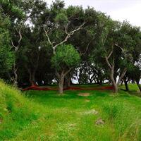 Island in Greece, Ionian Islands, Corfu, 2500 sq.m.