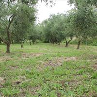 Island in Greece, Ionian Islands, Corfu, 1000 sq.m.