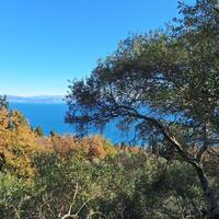 Island in Greece, Ionian Islands, Corfu, 15000 sq.m.