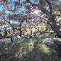 Island in Greece, Ionian Islands, Corfu, 15000 sq.m.