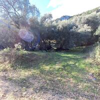 Island in Greece, Ionian Islands, Corfu, 15000 sq.m.