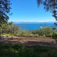 Island in Greece, Ionian Islands, Corfu, 15000 sq.m.
