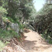 Island in Greece, Ionian Islands, Corfu, 15000 sq.m.