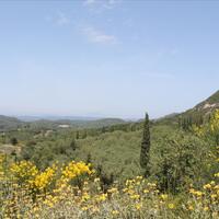 Island in Greece, Ionian Islands, Corfu, 5000 sq.m.