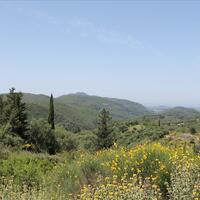 Island in Greece, Ionian Islands, Corfu, 5000 sq.m.