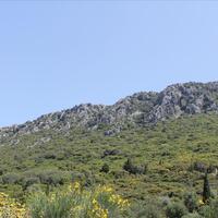 Island in Greece, Ionian Islands, Corfu, 5000 sq.m.