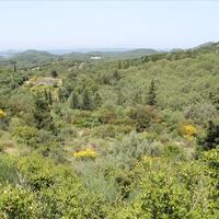 Island in Greece, Ionian Islands, Corfu, 5000 sq.m.