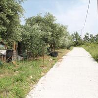 Остров в Греции, Ионические острова, Корфу, 4268 кв.м.