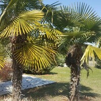 Villa in Greece, Veroia, 350 sq.m.