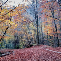 Villa in Turkey, Istanbul, 466 sq.m.